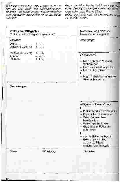 Vorschauseite 4: Pflegebericht