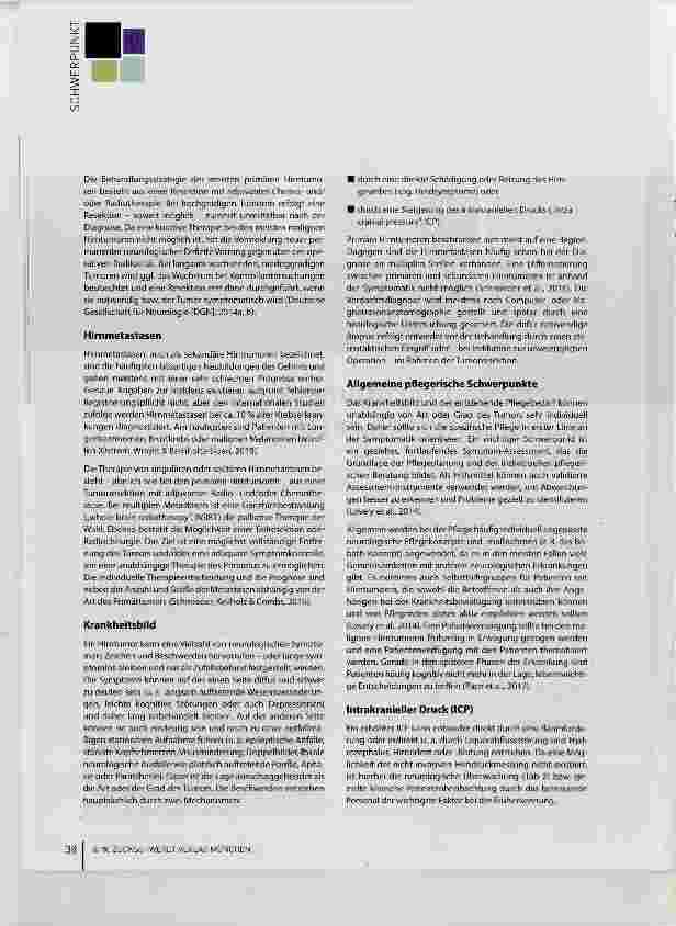 Vorschauseite 2: Pflege von Hirntumorpatienten Komplikationen rechtzeitig erkennen