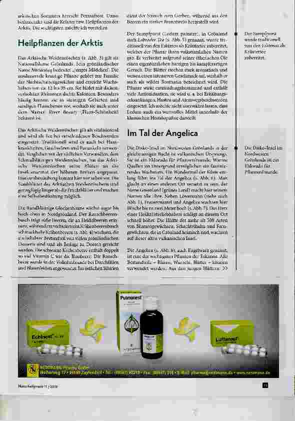 Vorschauseite 3: Heilpflanzen der Arktis