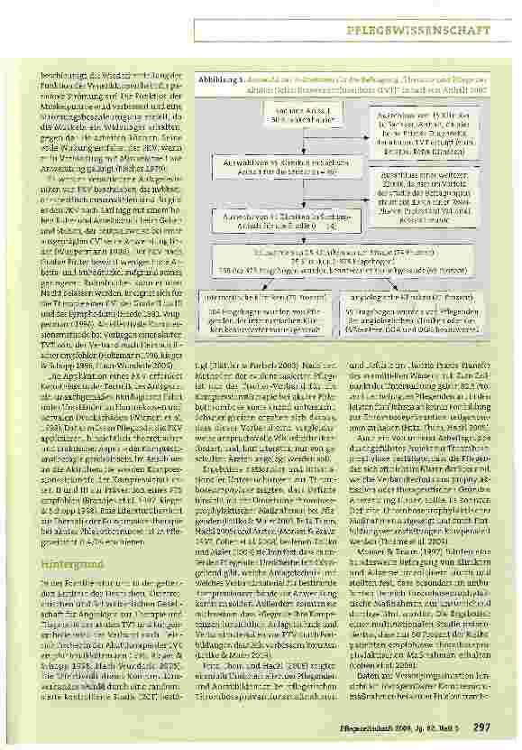 Vorschauseite 2: Das Wissen Pflegender zur Kompressionstherapie