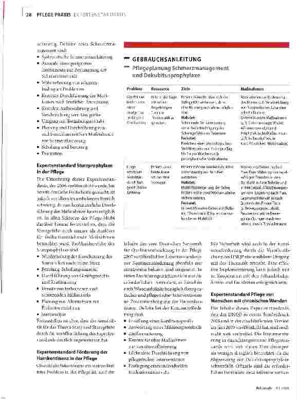 Vorschauseite 2: Gebrauchsanleitung für Expertenstandards
