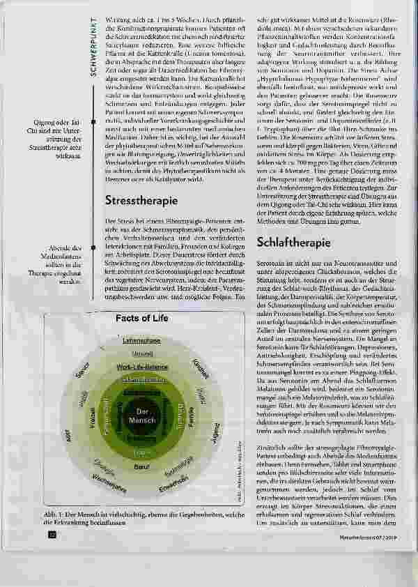 Vorschauseite 3: Fibromyalgie