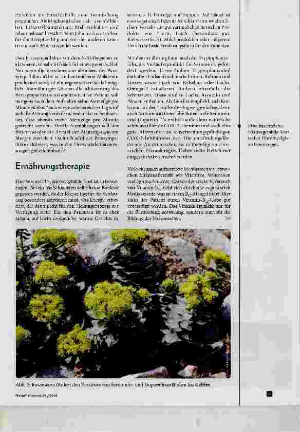Vorschauseite 4: Fibromyalgie