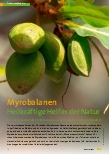 Vorschauseite 1: Myrobalanen Heilkräftige Helfer der Natur