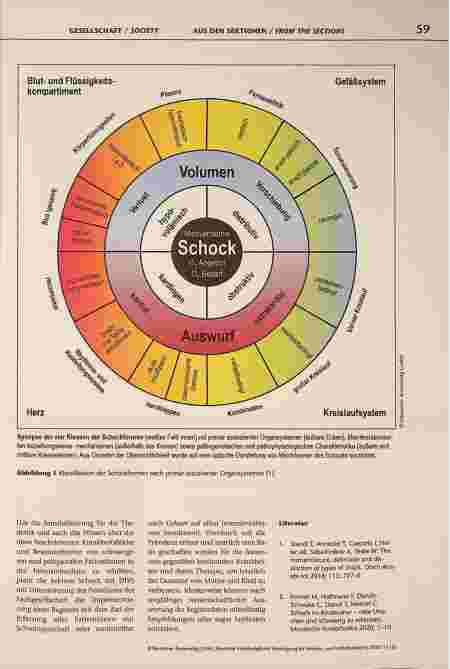 Vorschauseite 2: Aus der Sektion Schock