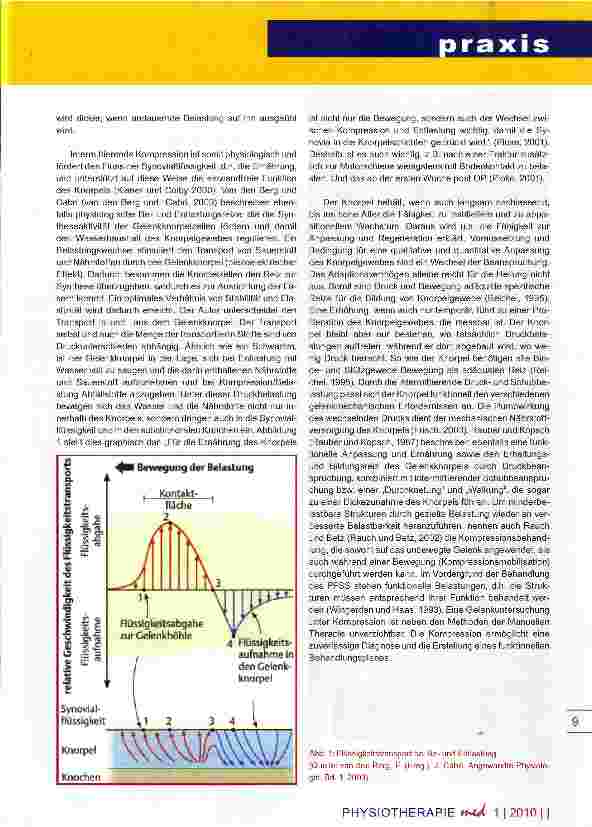 Vorschauseite 5: Patellofemorales Schmerzsyndrom