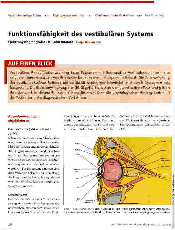Vorschauseite 1: Funktionsfähigkeit des vestibulären Systems