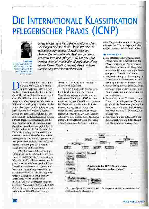 Vorschauseite 1: Die Internationale Klassifikation pflegerischer Praxis (ICNP)