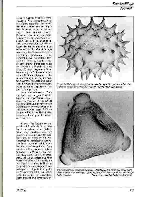 Vorschauseite 2: Allergische Rhinitis