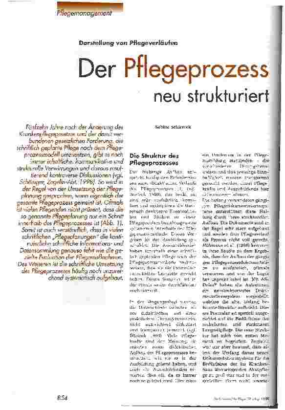 Vorschauseite 1: Der Pflegeprozess neu strukturiert