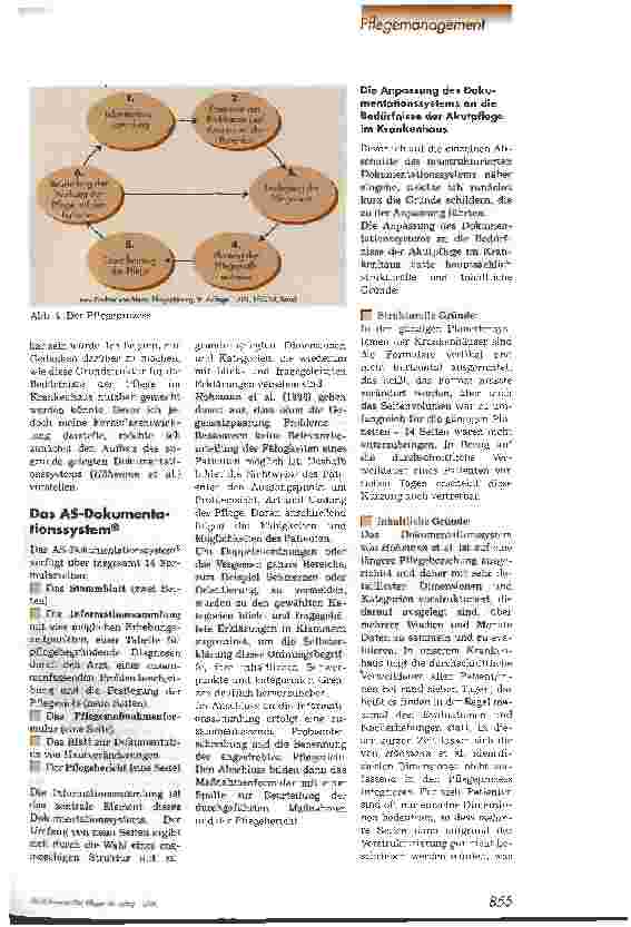 Vorschauseite 2: Der Pflegeprozess neu strukturiert