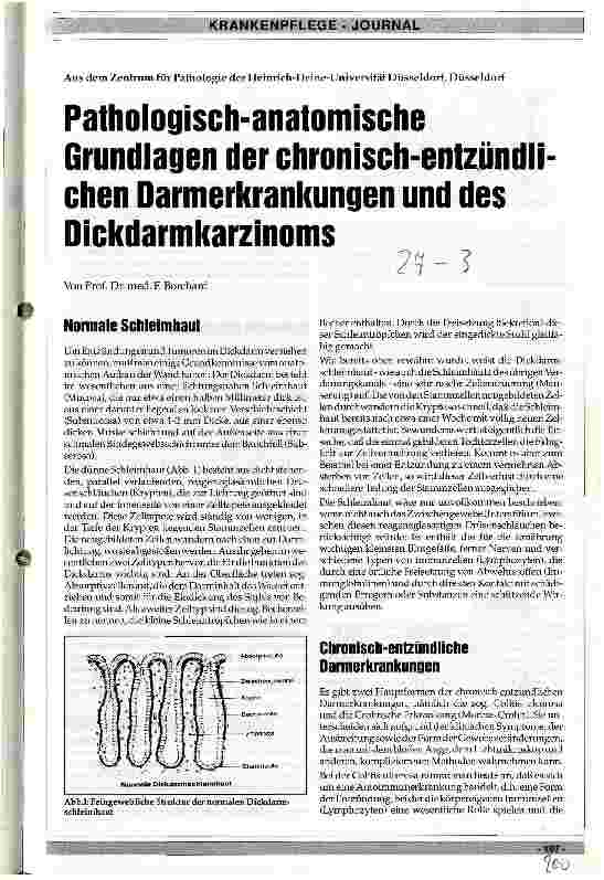 Vorschauseite 1: Pathologisch-anatomische Grundlagen der chronisch-entzündlichen Darmerkrankungen und des Dickdarmkarzinoms