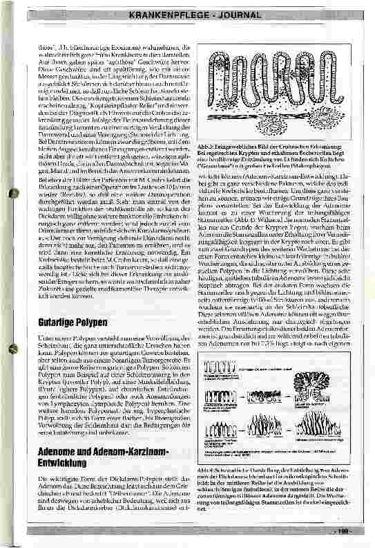 Vorschauseite 3: Pathologisch-anatomische Grundlagen der chronisch-entzündlichen Darmerkrankungen und des Dickdarmkarzinoms