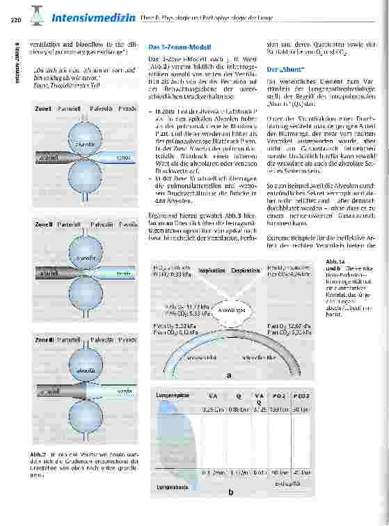 Vorschauseite 3: Physiologie und Pathophysiologie der Lunge in der operativen Intensivmedizin