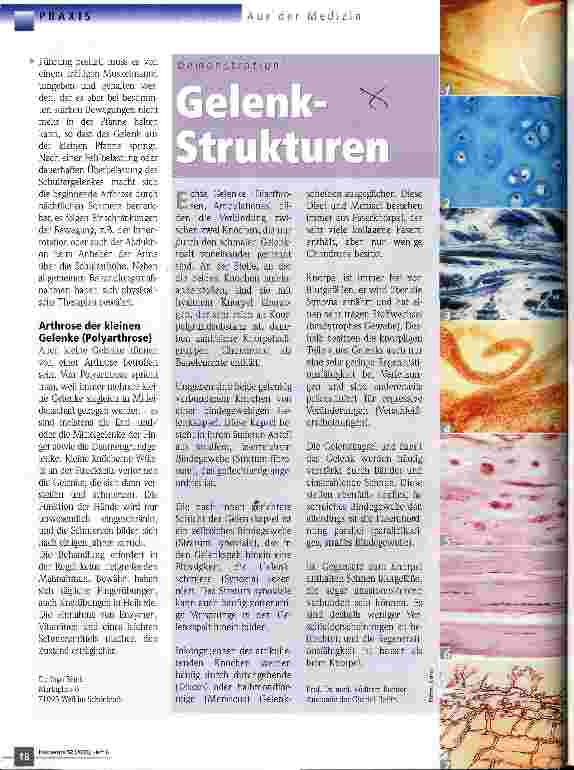 Vorschauseite 1: Gelenk-Strukturen