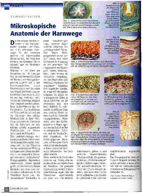 Vorschauseite 1: Mikroskopische Anatomie der Harnwege