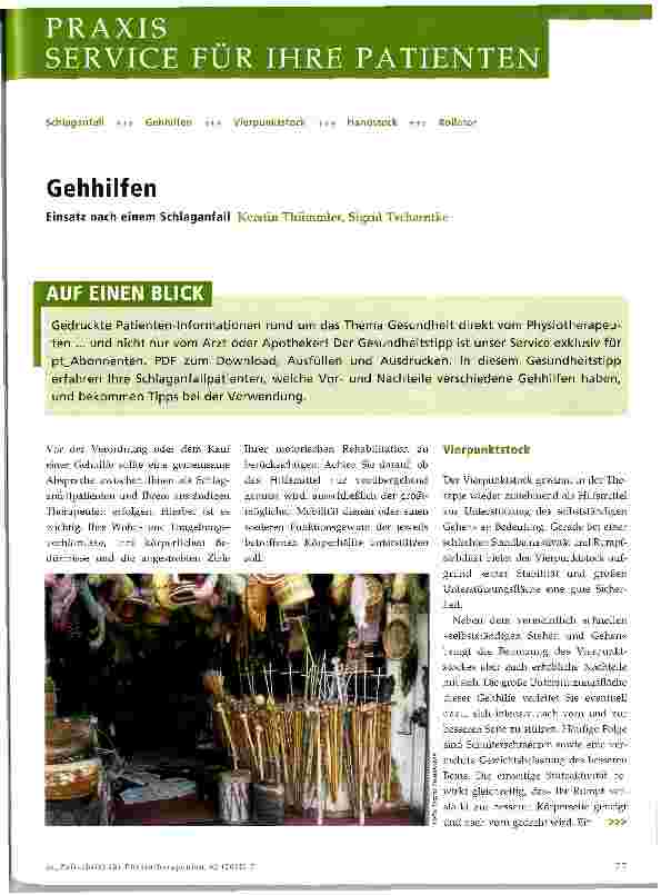 Vorschauseite 1: Gehhilfen