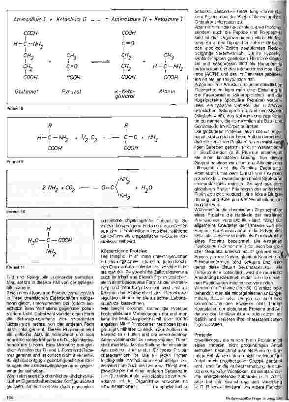 Vorschauseite 3: Die organische Chemie (IV) - Eiweiß Grundlagen der Chemie - 12. Folge