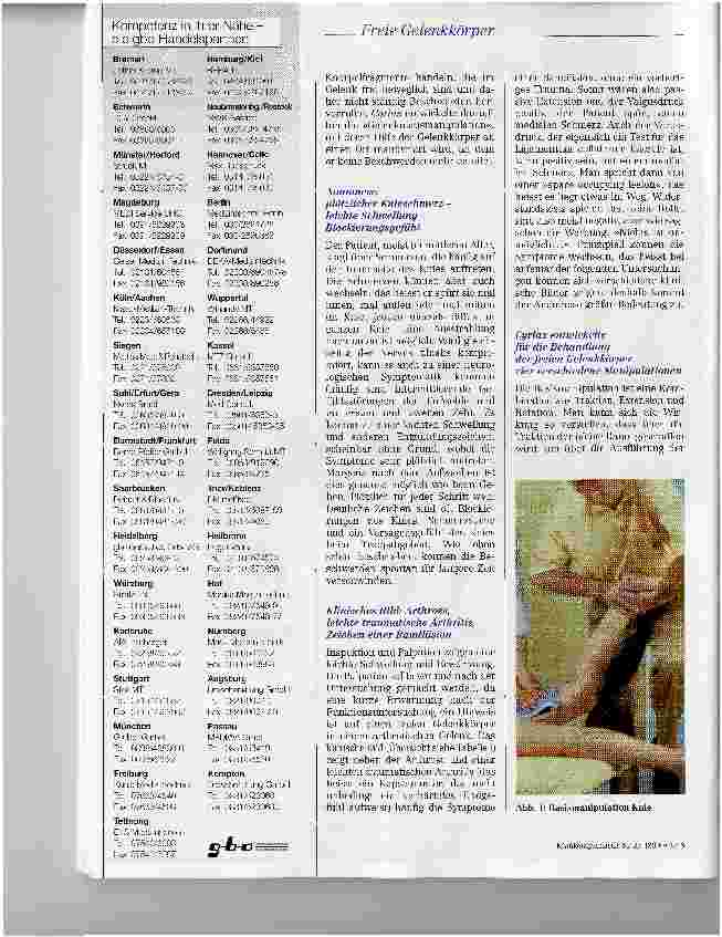 Vorschauseite 2: Der freie Gelenkkörper im arthrotischen Gelenk