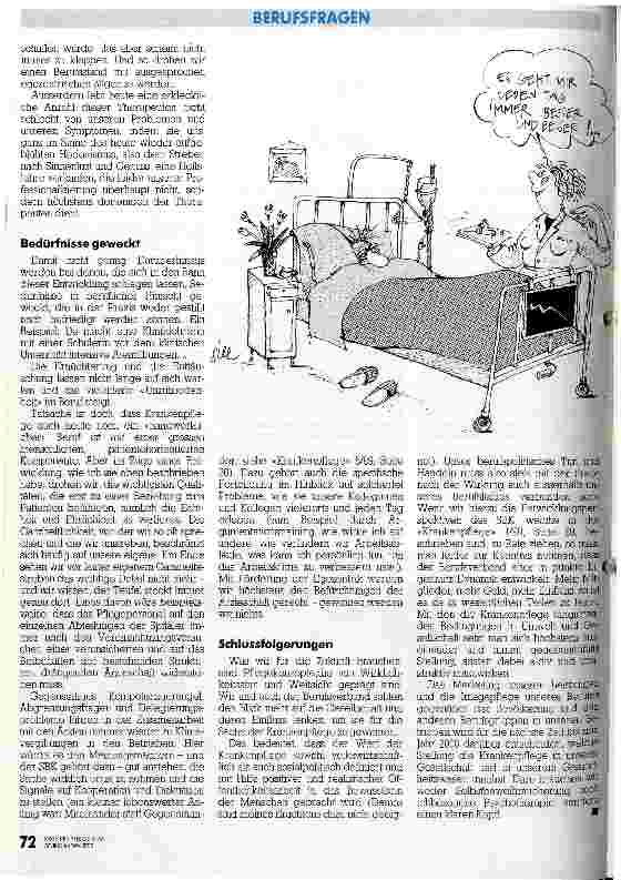Vorschauseite 2: Übersteigerter Individualismus - mangelnde Professionalität