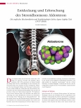 Vorschauseite 1: Entdeckung und Erforschung des Steroidhormons Aldosteron
