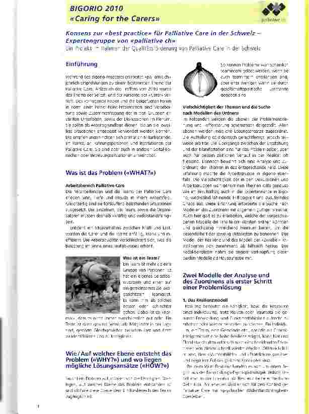 Vorschauseite 1: Konsens zur «best practice» für Palliative Care in der Schweiz -Expertengruppe von «palliative ch»