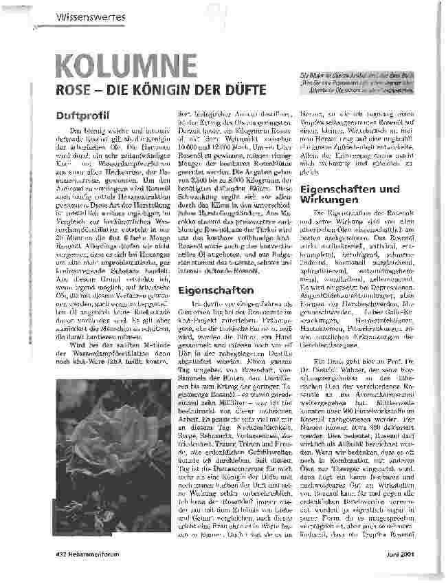 Vorschauseite 1: KOLUMNEROSE - DIE KÖNIGIN DER DÜFTE