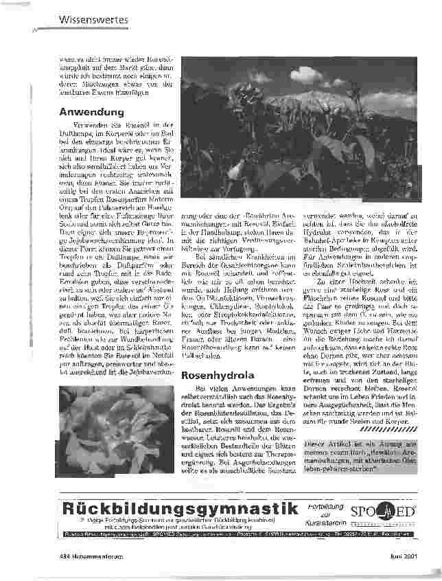 Vorschauseite 3: KOLUMNEROSE - DIE KÖNIGIN DER DÜFTE