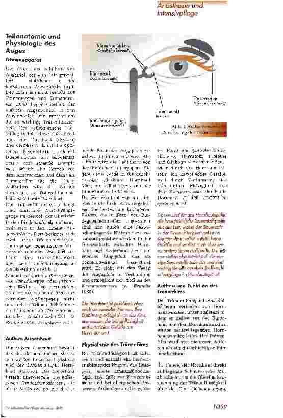 Vorschauseite 2: Augenpflege - eine nicht zu unterschätzende Tätigkeit auf der Intensivstation