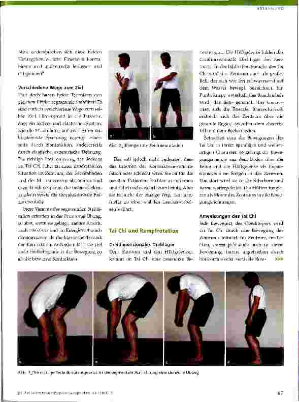 Vorschauseite 2: Inneres Tai Chi Chuan in der orthopädischen Rehabilitation