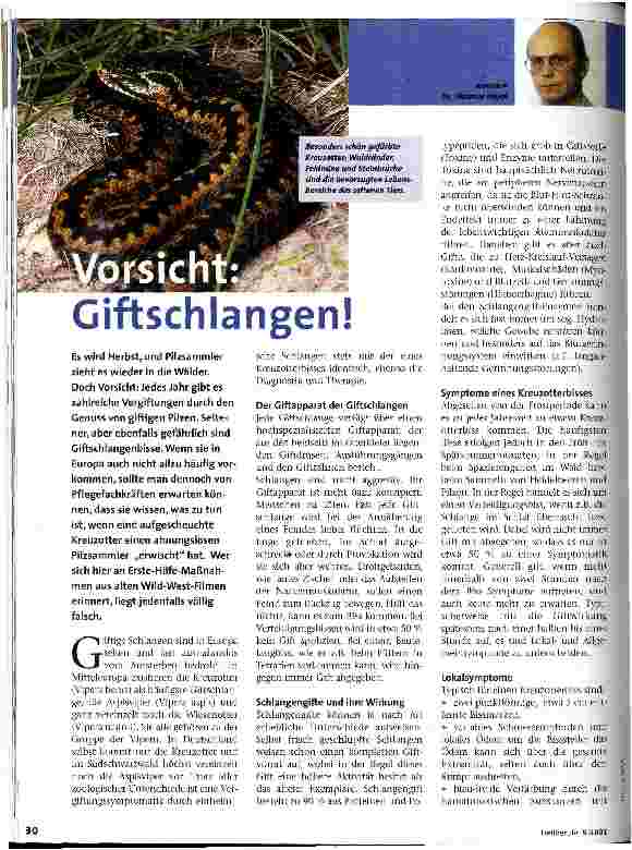 Vorschauseite 1: Vorsicht: Giftschlangen