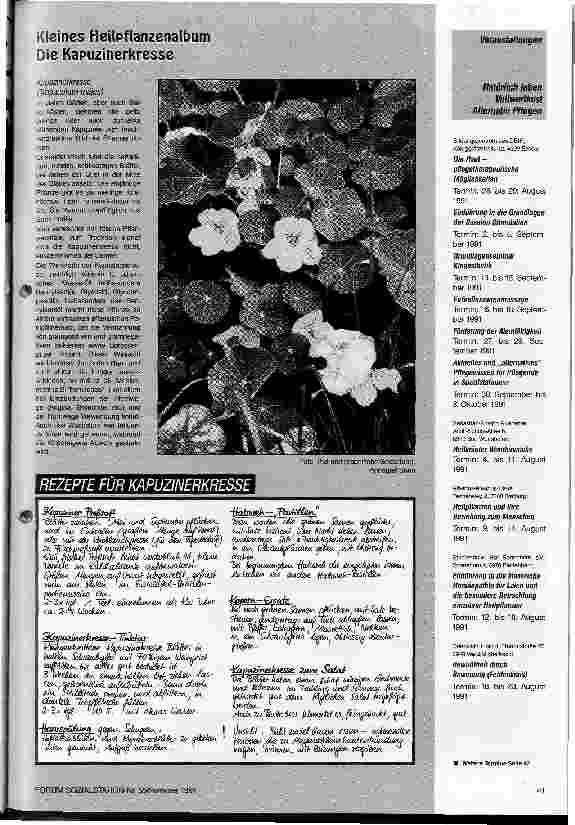 Vorschauseite 2: Natürliches für die Blase