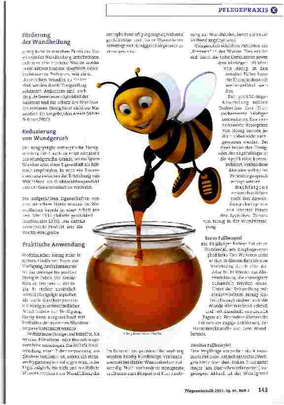 Vorschauseite 2: Alternative Behandlung - Pflegende waren VorreiterVon den Bienen profitieren: Mit Honig Wunden heilen