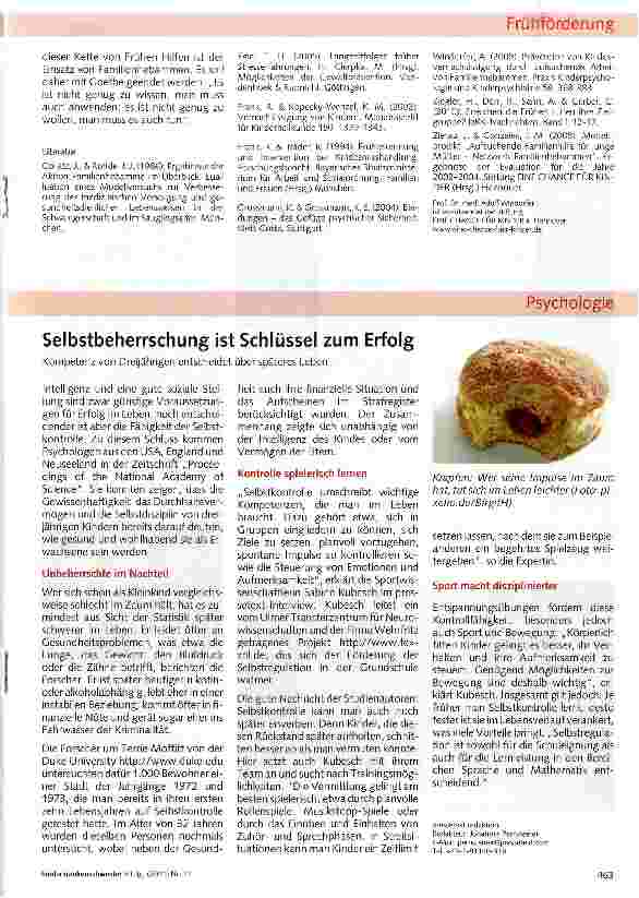 Vorschauseite 5: Der Einsatz von Familienhebammen im System der Frühen Hilfen - ihre Rolle und ihre Aufgaben