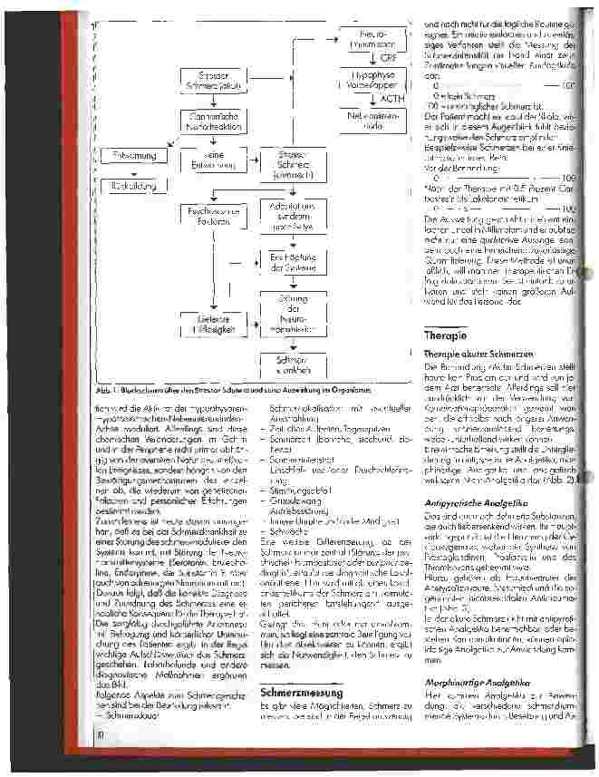 Vorschauseite 2: Schmerztherapie: 6. Folge: Chronische Schmerzsyndrome