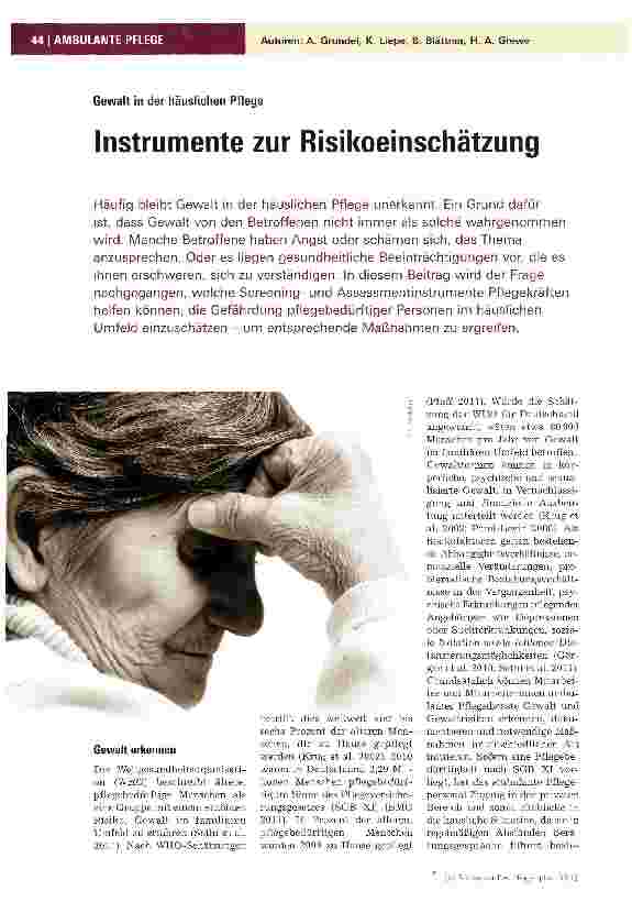 Vorschauseite 1: Instrumente zur Risikoeinschätzung