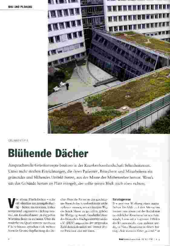 Vorschauseite 1: Blühende Dächer