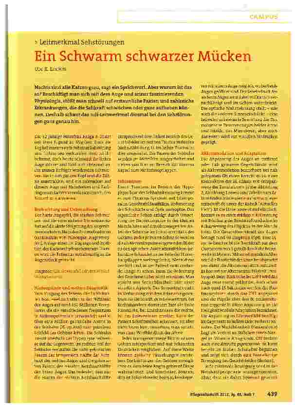 Vorschauseite 1: Ein Schwarm schwarzer Mücken