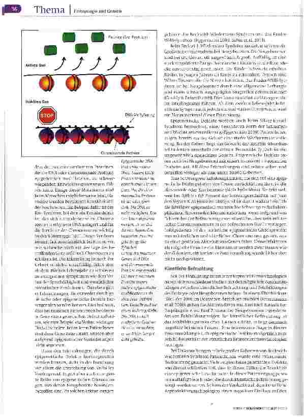Vorschauseite 3: Vererbung außerhalb der DNA-Sequenz