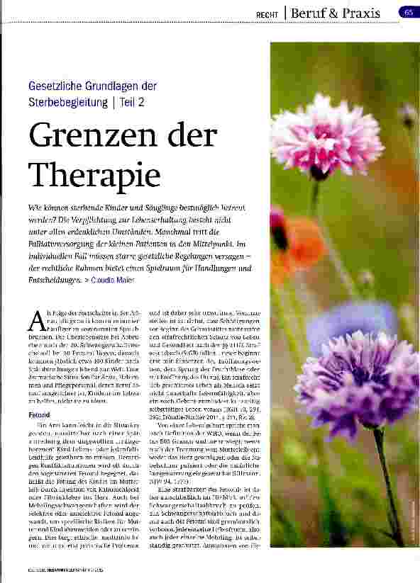 Vorschauseite 1: Gesetzliche Grundlagen der Sterbebegleitung | Teil 2 Grenzen der Therapie