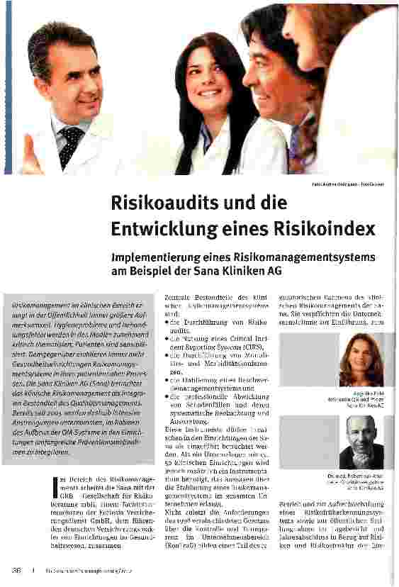 Vorschauseite 1: Risikoaudits und die Entwicklungeines Risikoindex