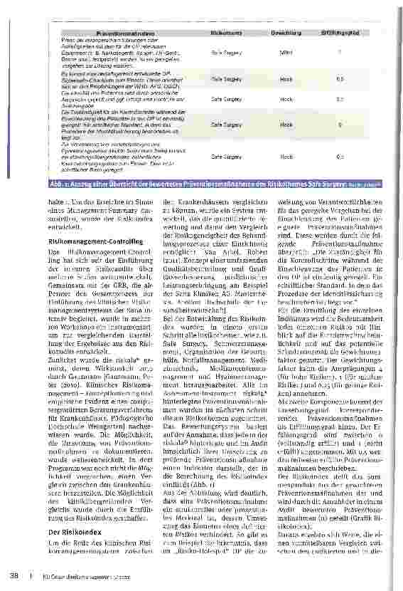 Vorschauseite 3: Risikoaudits und die Entwicklungeines Risikoindex