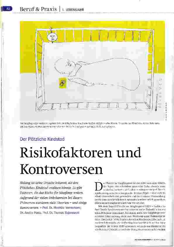 Vorschauseite 1: Risikofaktoren und Kontroversen