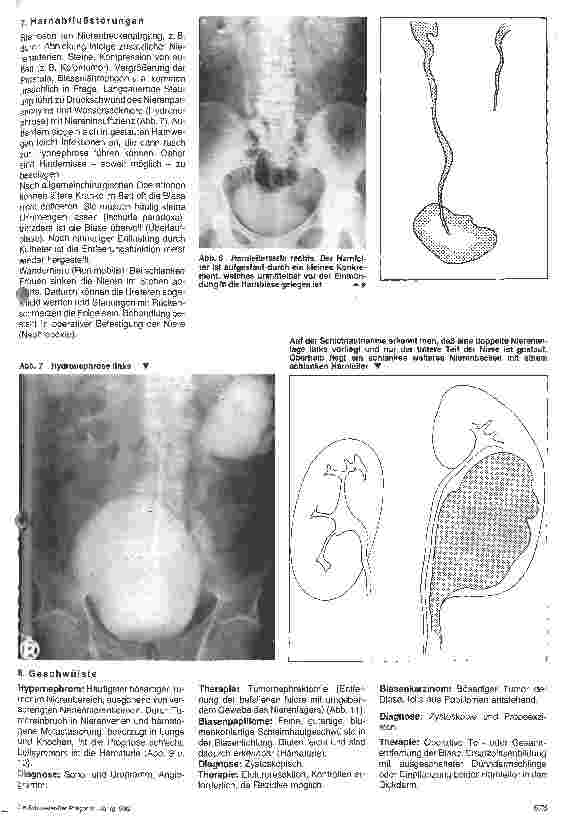 Vorschauseite 4: Chirurgische Krankenpflege