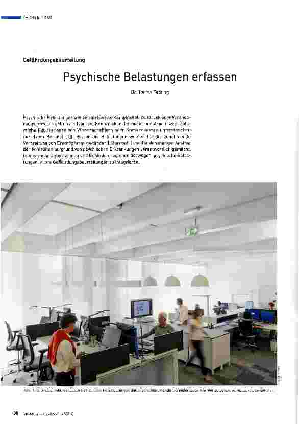 Vorschauseite 1: Psychische Belastungen erfassen