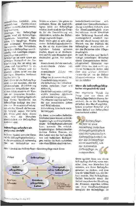 Vorschauseite 2: Pflegeplanung nach der Selbstpflege-Defizit-Theorie