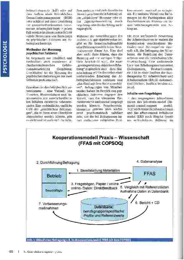 Vorschauseite 2: Copenhagen Psychosocial Questionnaire COPSOQ