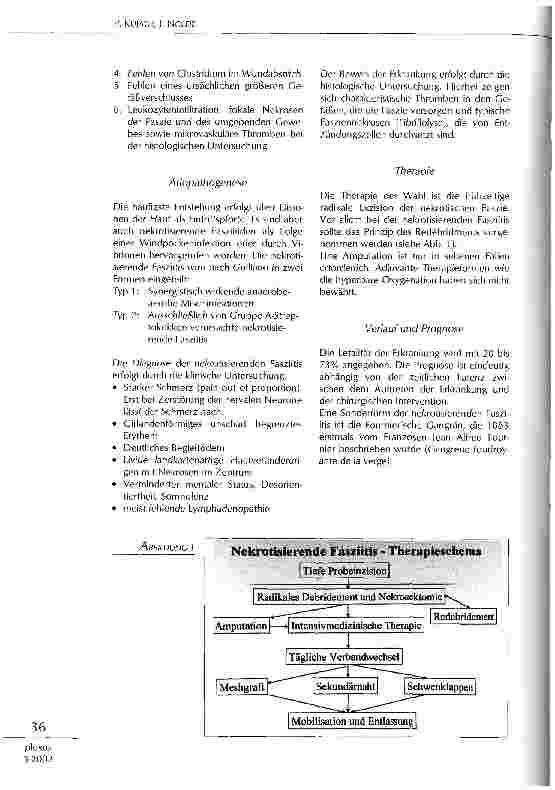 Vorschauseite 2: Haut-Weichteilinfektionen auf der Intensivstation