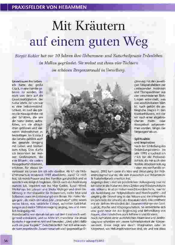 Vorschauseite 1: Mit Kräutern auf einem guten Weg
