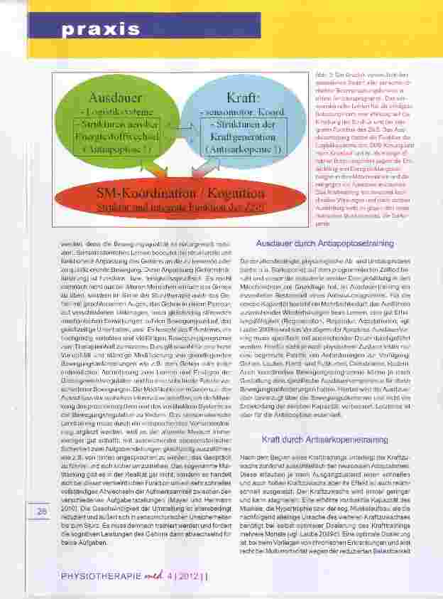 Vorschauseite 4: Die Sturzprophylaxe Was bringt die Physiotherapie?